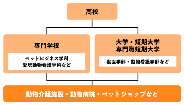 動物介護士になるには