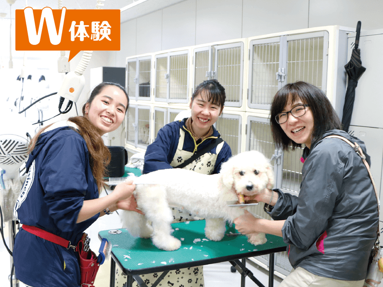 12月10日（日）トリマー＆動物看護講座 | 愛玩動物看護学科 | オープン