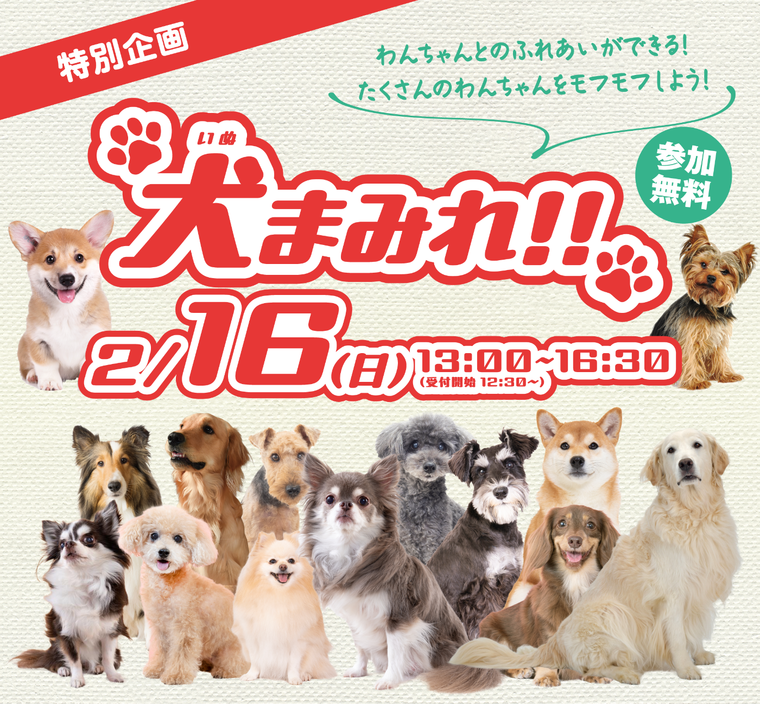 【特別企画】犬まみれ!!