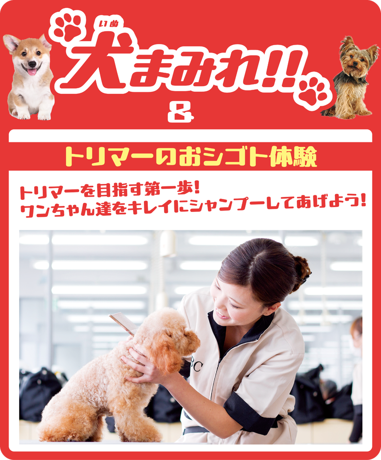 【特別企画】犬まみれ!!