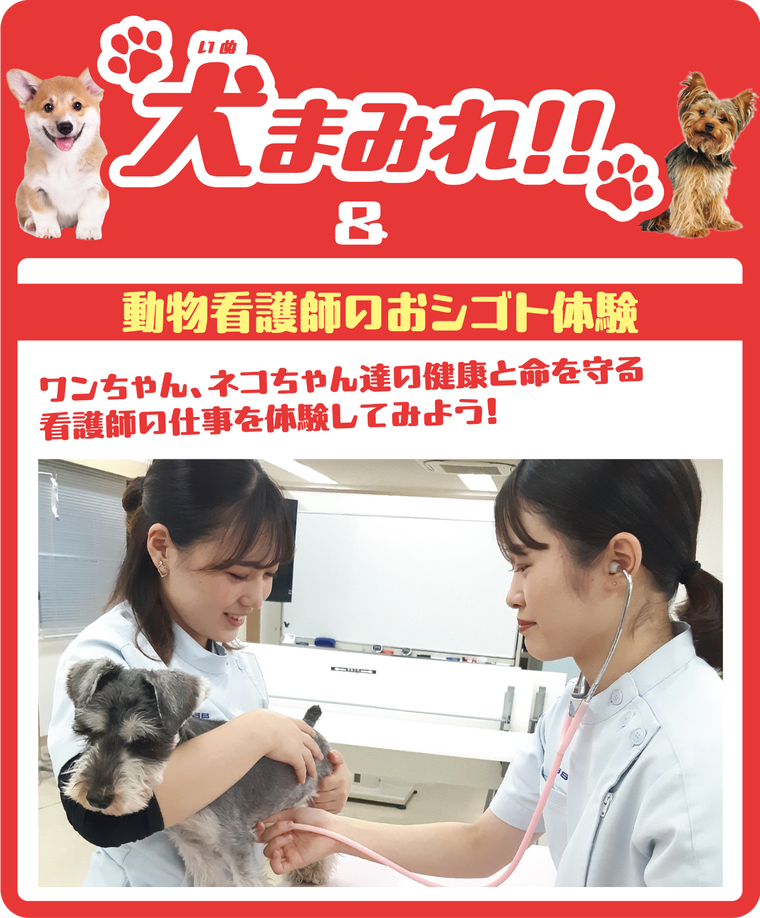 【特別企画】犬まみれ!!