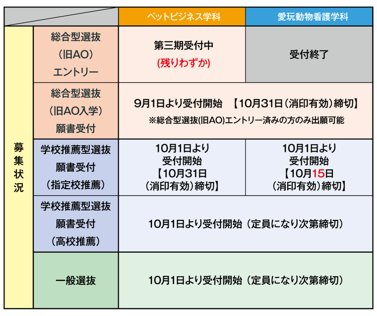 2025年度入学　募集状況（9/2更新）