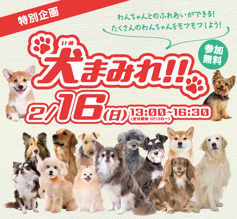 犬まみれ