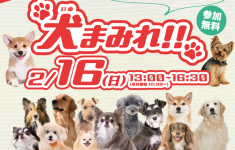 犬まみれ